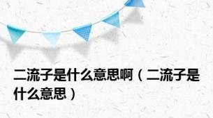 二流子是什么意思啊（二流子是什么意思）