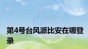 第4号台风派比安在哪登录