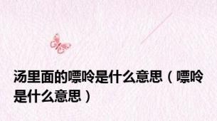 汤里面的嘌呤是什么意思（嘌呤是什么意思）