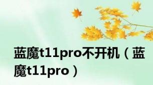 蓝魔t11pro不开机（蓝魔t11pro）