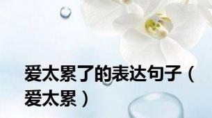 爱太累了的表达句子（爱太累）