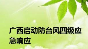 广西启动防台风四级应急响应