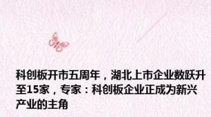 科创板开市五周年，湖北上市企业数跃升至15家，专家：科创板企业正成为新兴产业的主角