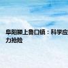 阜阳颍上鲁口镇：科学应对，全力抢险