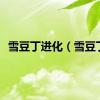 雪豆丁进化（雪豆丁）