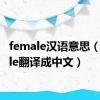 female汉语意思（female翻译成中文）