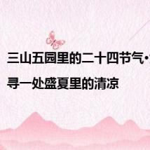 三山五园里的二十四节气·大暑|寻一处盛夏里的清凉