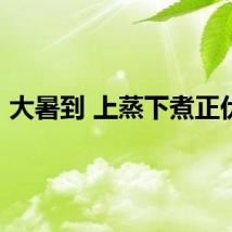 大暑到 上蒸下煮正伏天