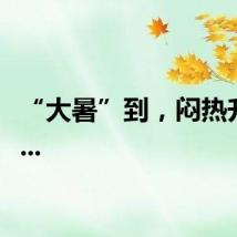 “大暑”到,闷热升级......