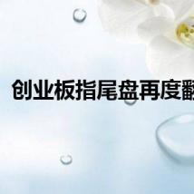 创业板指尾盘再度翻红