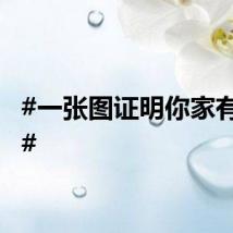 #一张图证明你家有多热#