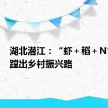 湖北潜江:“虾+稻+N”共作蹚出乡村振兴路
