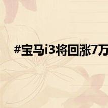 #宝马i3将回涨7万#