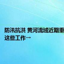 防汛抗洪 黄河流域近期重点做好这些工作→