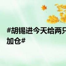 #胡锡进今天给两只股票加仓#