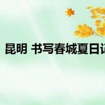 昆明 书写春城夏日记忆