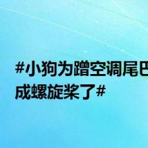 #小狗为蹭空调尾巴要摇成螺旋桨了#