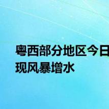 粤西部分地区今日将出现风暴增水