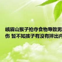 峨眉山猴子抢夺食物导致男孩被摔伤 暂不知孩子有没有摔出内伤