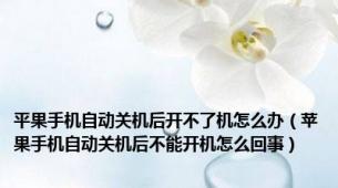 平果手机自动关机后开不了机怎么办（苹果手机自动关机后不能开机怎么回事）