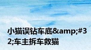 小猫误钻车底&#32;车主拆车救猫
