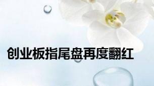 创业板指尾盘再度翻红