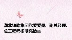 湖北铁路集团党委委员、副总经理、总工程师杨明亮被查