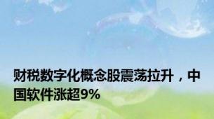 财税数字化概念股震荡拉升，中国软件涨超9%