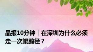 晶报10分钟｜在深圳为什么必须走一次鲲鹏径？
