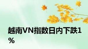 越南VN指数日内下跌1%