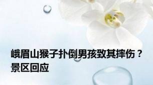 峨眉山猴子扑倒男孩致其摔伤？景区回应