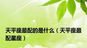 天平座最配的是什么（天平座最配星座）