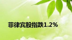 菲律宾股指跌1.2%