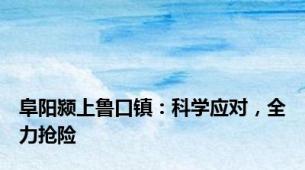 阜阳颍上鲁口镇：科学应对，全力抢险