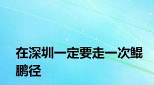 在深圳一定要走一次鲲鹏径