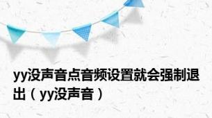 yy没声音点音频设置就会强制退出（yy没声音）