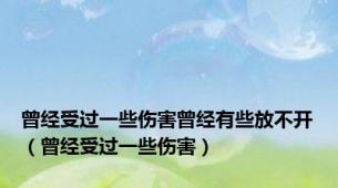 曾经受过一些伤害曾经有些放不开（曾经受过一些伤害）