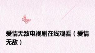 爱情无敌电视剧在线观看（爱情无敌）
