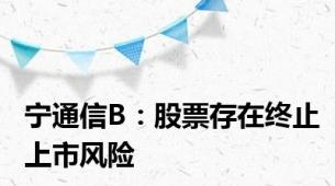 宁通信B：股票存在终止上市风险