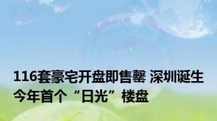 116套豪宅开盘即售罄 深圳诞生今年首个“日光”楼盘