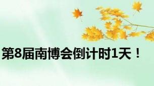 第8届南博会倒计时1天！