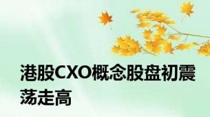 港股CXO概念股盘初震荡走高