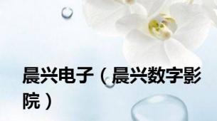 晨兴电子（晨兴数字影院）
