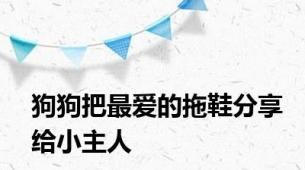 狗狗把最爱的拖鞋分享给小主人