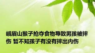 峨眉山猴子抢夺食物导致男孩被摔伤 暂不知孩子有没有摔出内伤