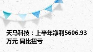 天马科技：上半年净利5606.93万元 同比扭亏