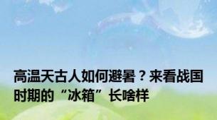 高温天古人如何避暑？来看战国时期的“冰箱”长啥样