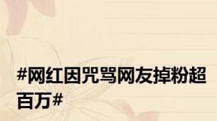 #网红因咒骂网友掉粉超百万#