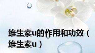 维生素u的作用和功效（维生素u）