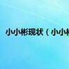 小小彬现状（小小彬）